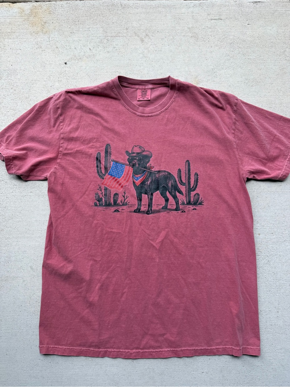 Comfort Colors Dusty Rose Cowboy Dog Graphic Tee